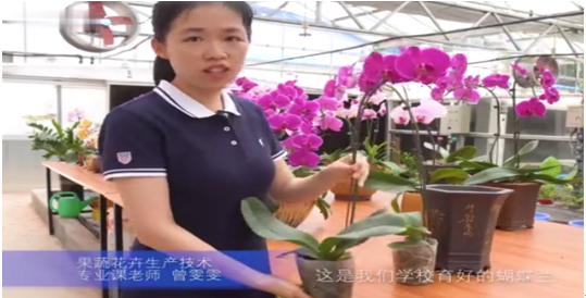 1673235816438991.png image.png