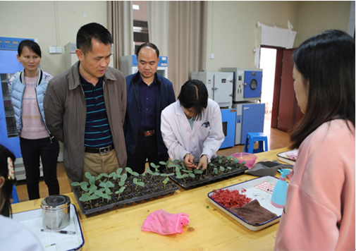 1673236240563382.png image.png