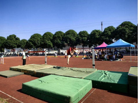 1731551764341580.png 1731551764341580.png