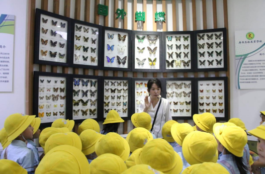 1716974134330612.png 19d1cbda39436a63f7316beb1f03309f.png