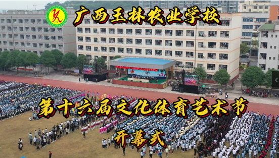 1668475736291992.png image.png