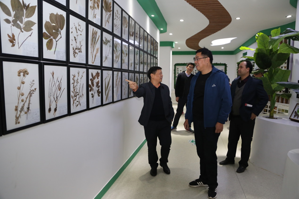 1607681071556006.png image.png