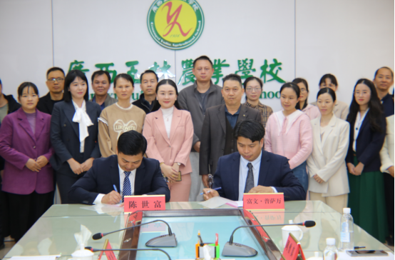 1733103158109100.png image.png