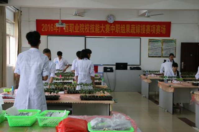 1492868282453621.jpg 40.jpg