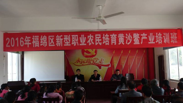 1492853522490299.jpg 96.jpg