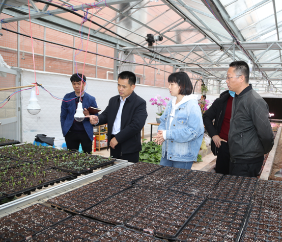 1614852324400252.png image.png