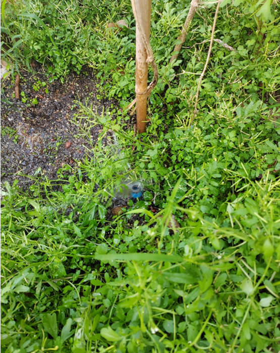 1678847193763422.png image.png