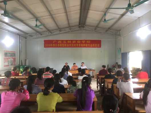 1586333582136582.png image.png