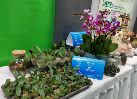 1694997443313522.png 1694997443313522.png