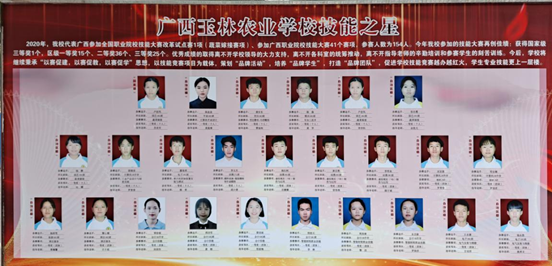 1608770569452891.png image.png