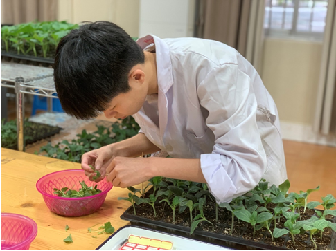 1650759628831137.png image.png