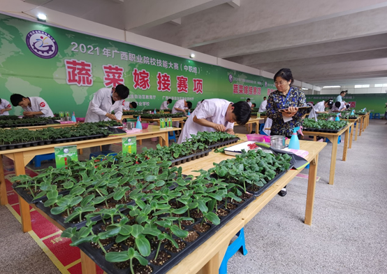 1617008110177973.png image.png