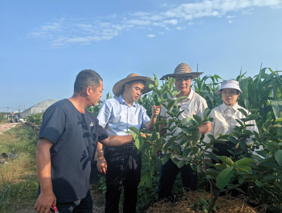 1699690086245313.png image.png