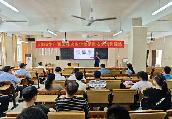 1750131319504324.png image.png