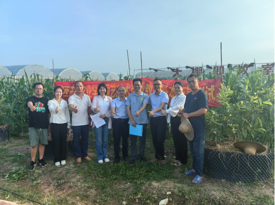 1699690143760095.png image.png